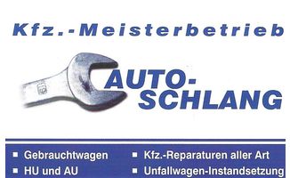 Auto Schlang