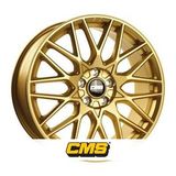 CMS C25