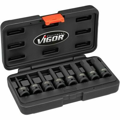 Vigor V7019