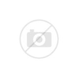 Toyota Gear Oil Manual Transmission 75W-90