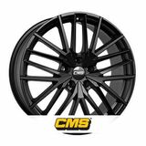 CMS C36