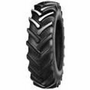 Alliance 356 Agro-Forest