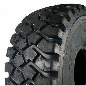 Maxam MS302