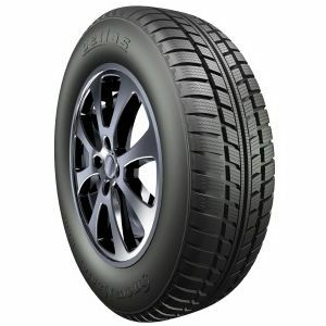 Petlas Snow Master W601