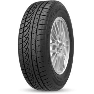 Petlas Snow Master W651