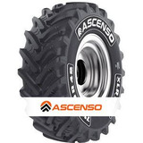 Ascenso XLR-880