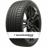 Blackarrow Super Dart P16