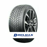 Delmax X Weather 2 4S