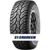 Evergreen ES89