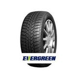 Evergreen EW616