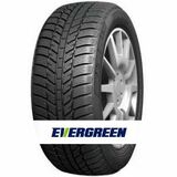 Evergreen EW62