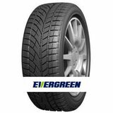 Evergreen EW66