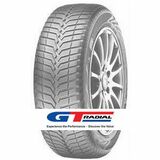 GT-Radial Climateactive