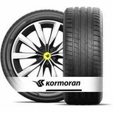Kormoran Summer 3