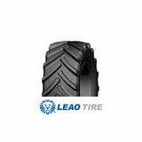 Leao LR650