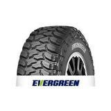 Evergreen ES91