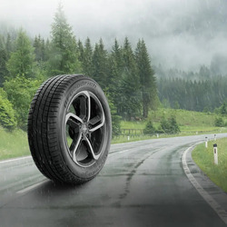 Travagem otimizada em estradas secas e molhadas